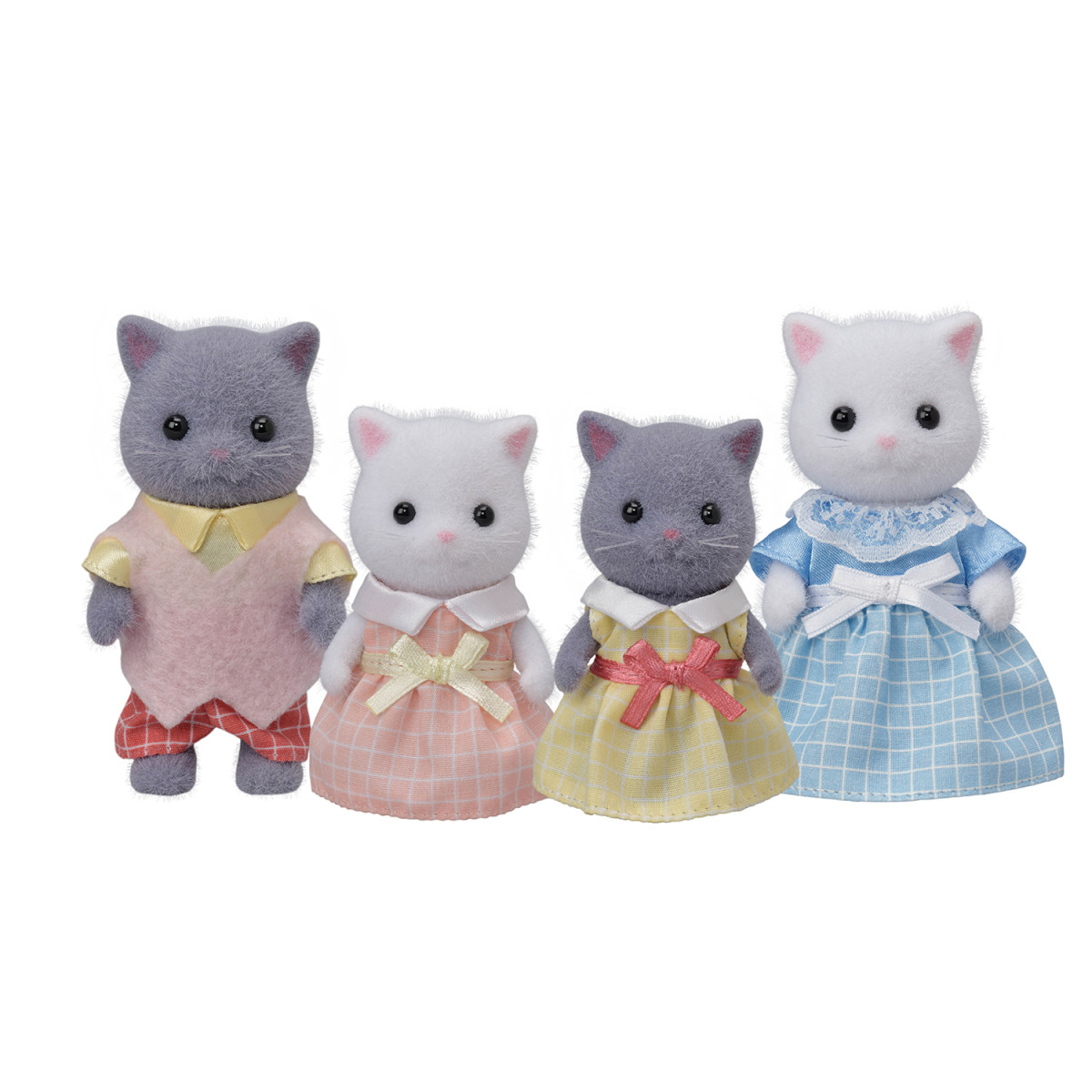 Collection Family from Cat Persian