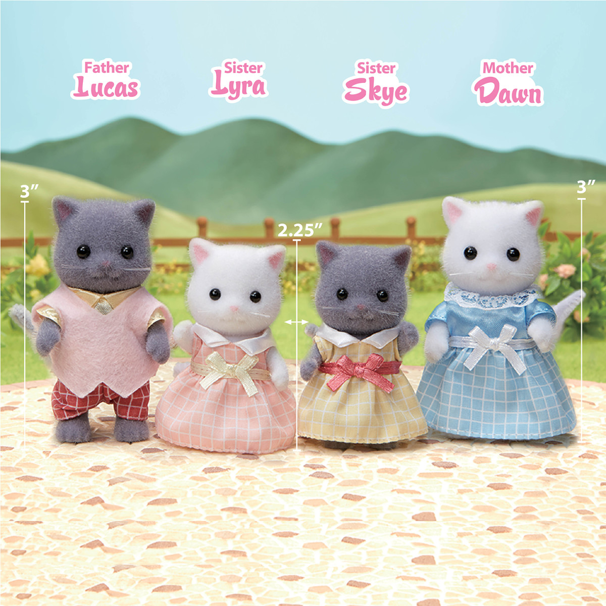Alternative view of Collection Family from Cat Persian