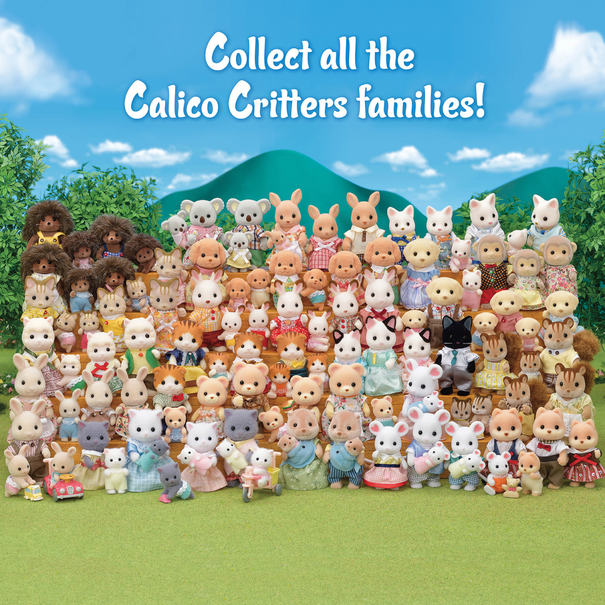 Collection Family from Cat Persian - Image 5
