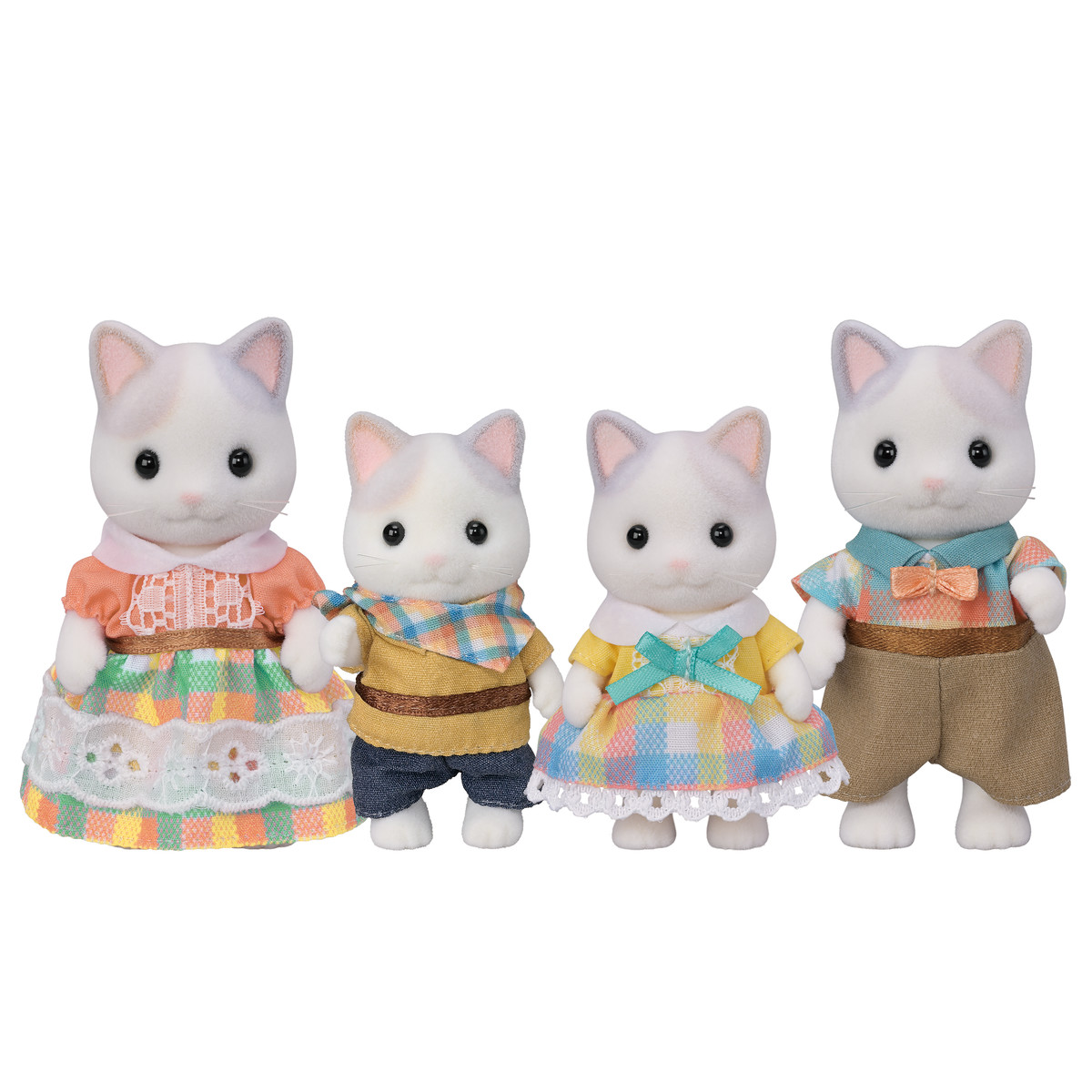 Family Cat | Latte Series