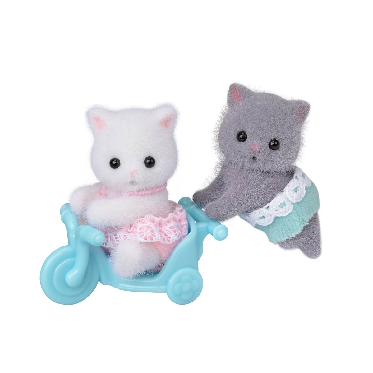 Twins Cat from Persian Collection