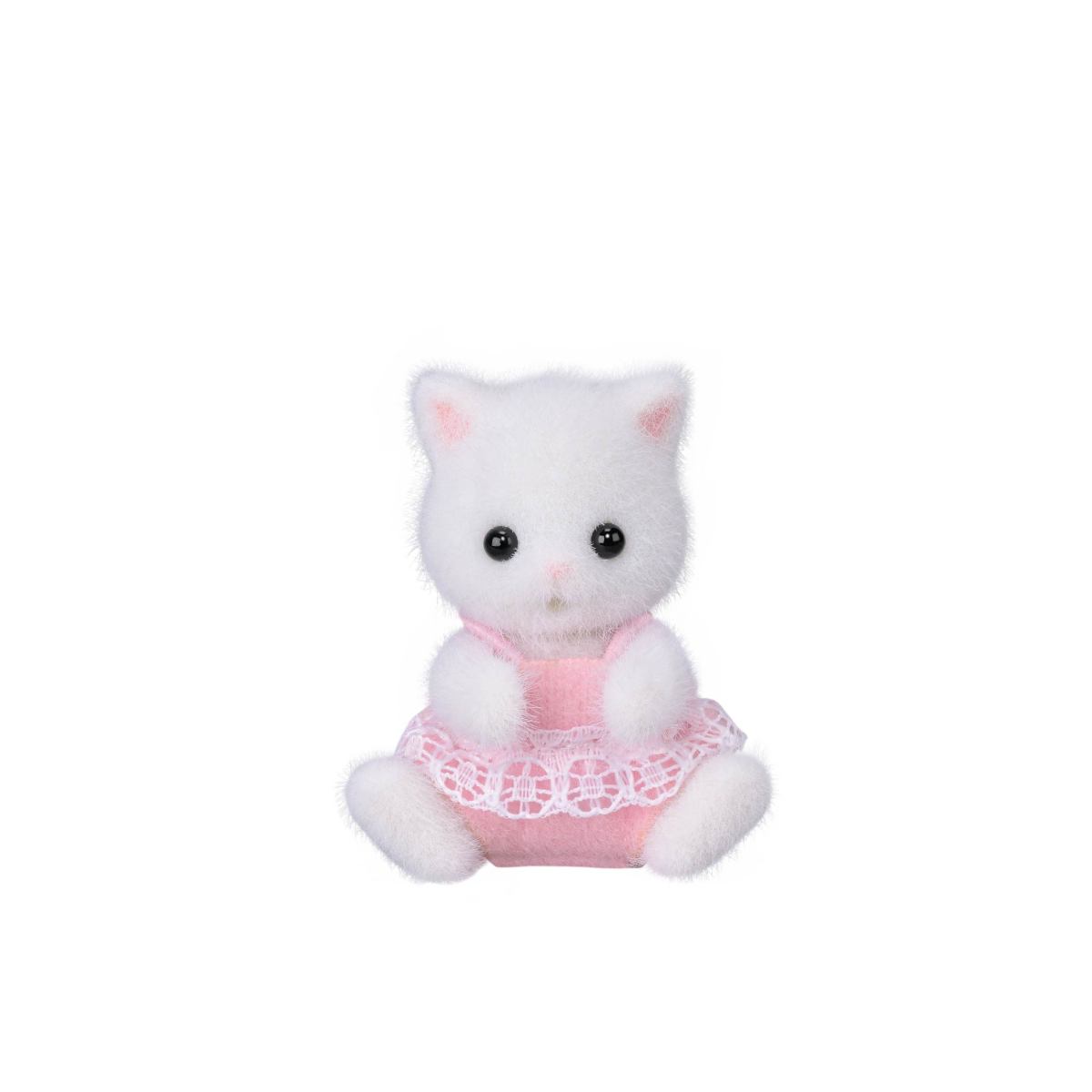 Alternative view of Twins Cat from Persian Collection